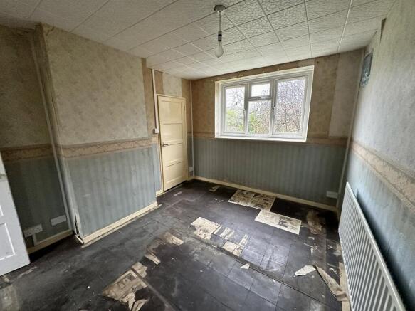 IMG 4747 T202602051253.jpeg