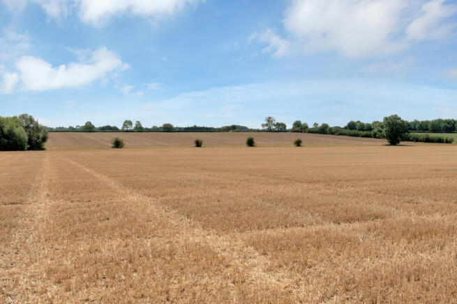 Land