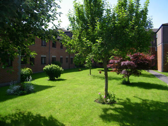 Picture 8