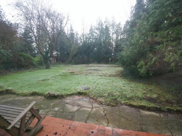 Photo15