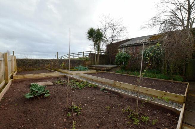 Growing Plot