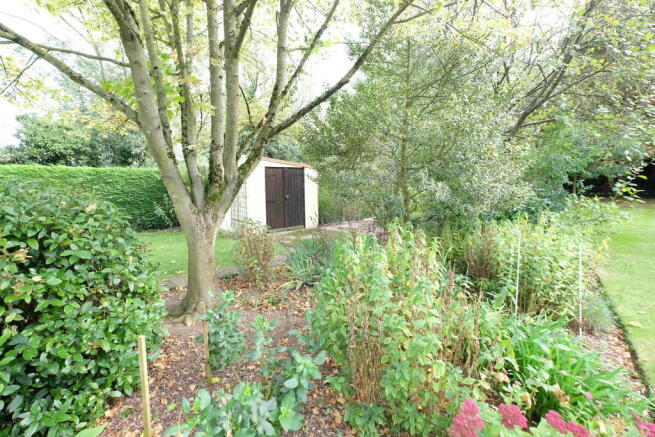 Photo 29