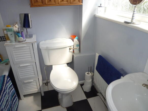 Photo 11