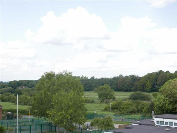 Photo 23