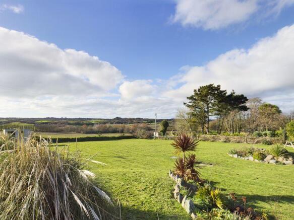 Back Garden