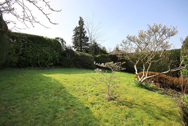 Garden #3