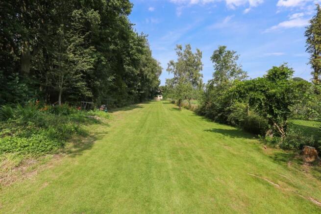 Garden3.jpg