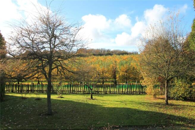Orchard View