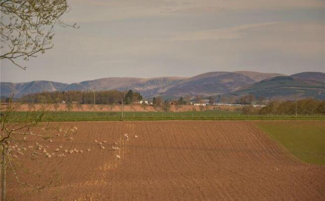 Picture No. 14