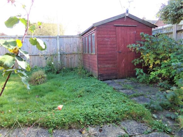 Photo 11