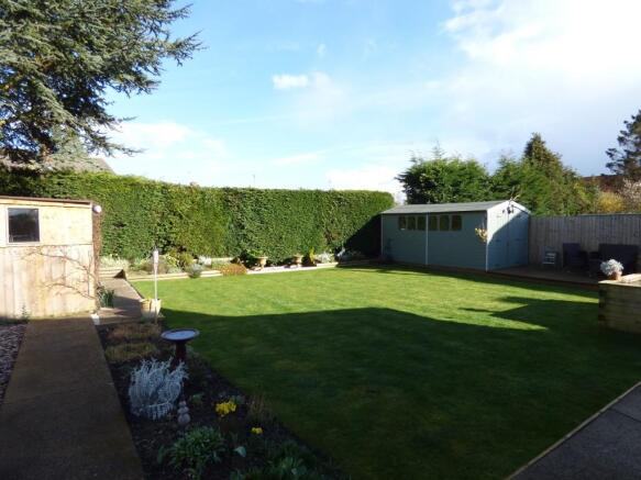 Photo 15