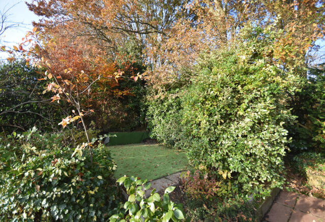 Photo 14