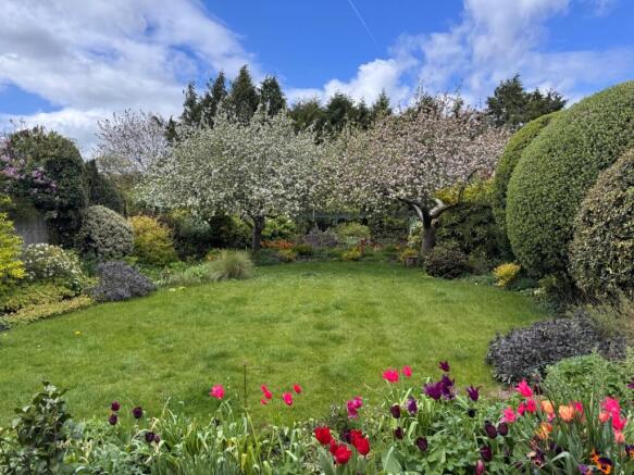 Rear Gardens