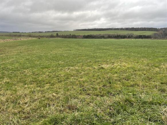 Photo 09-12-2024, 14 30 04.jpg