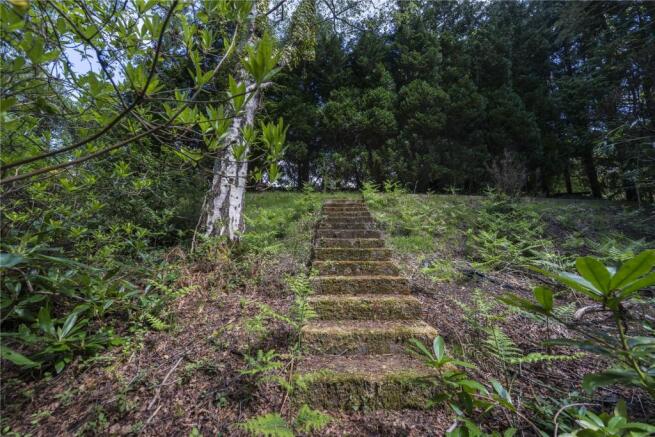 Steps To The Water