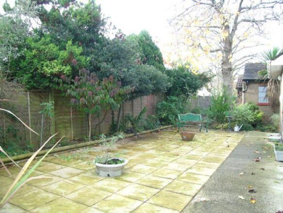 Patio Area