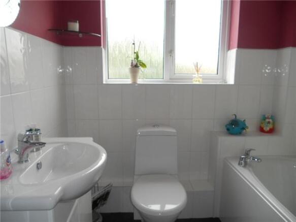 Picture 9