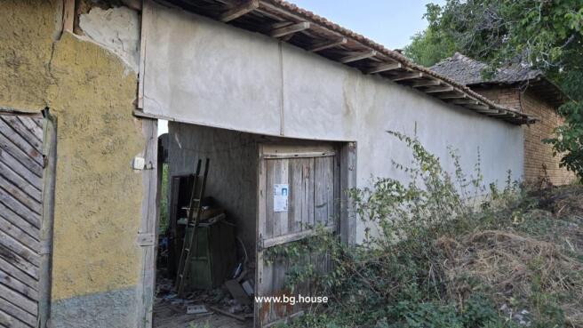 Side view of the house showing an open wooden door, plastered walls, and surrounding overgrown vegetation.