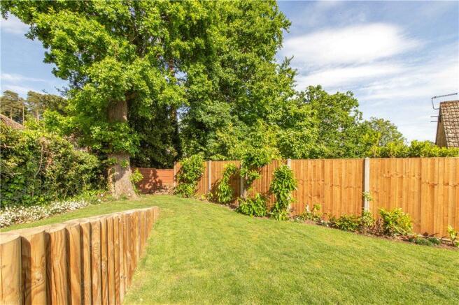Rear Garden 2