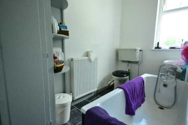Picture 5