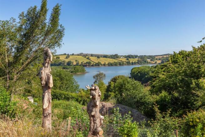 View with water (dead trees).jpg