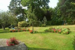 Rear Garden whole pl