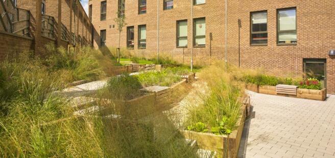 1 bed Private Halls to rent Image 4