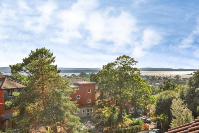 pbox-IMG.jpg