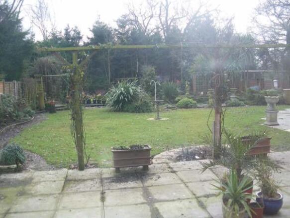 MATURE GARDEN