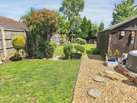 Back Garden