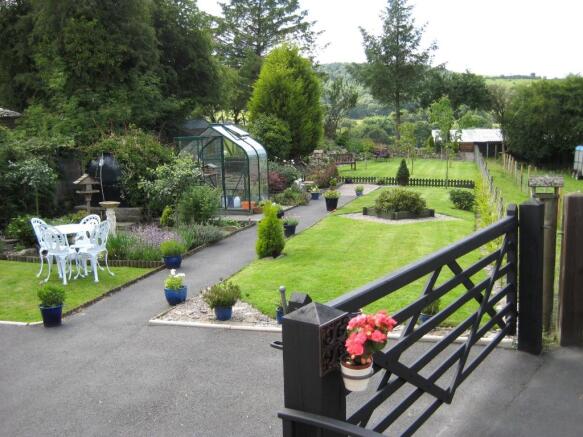 Picture No. 36