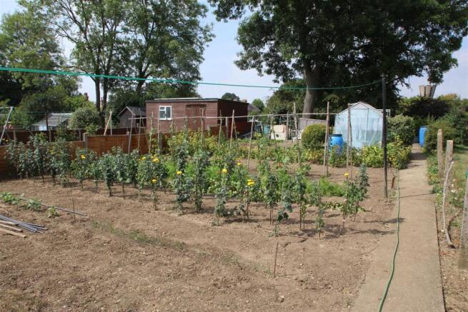 VEGATABLE GARDEN