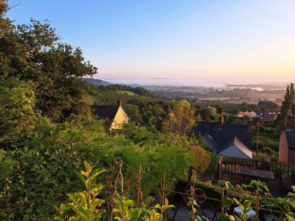 View from the top of the garden