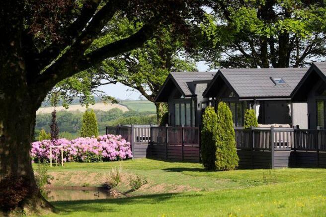 Boutique Manor House and Lodge Park For Sale - Colliers