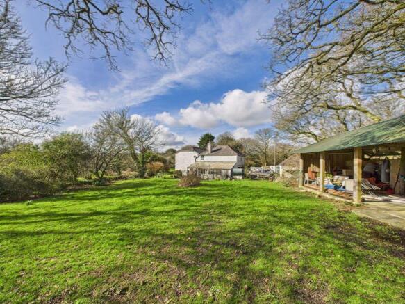 back garden