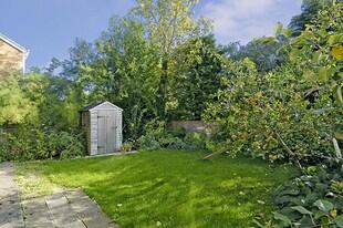 Cottage style garden.