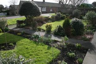 Photo 8