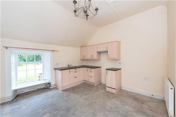 Living/Kitchen Area