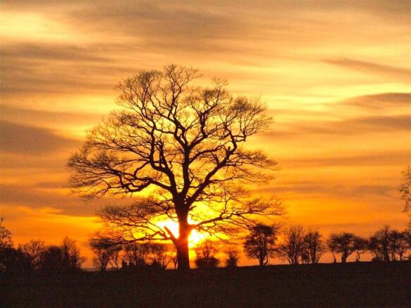 Swallow Barn Sunset 4.jpg