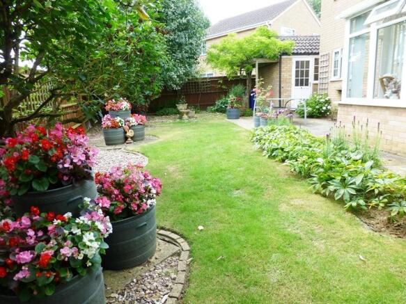Photo 11