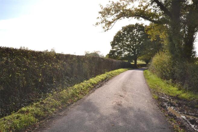 Quiet Lane