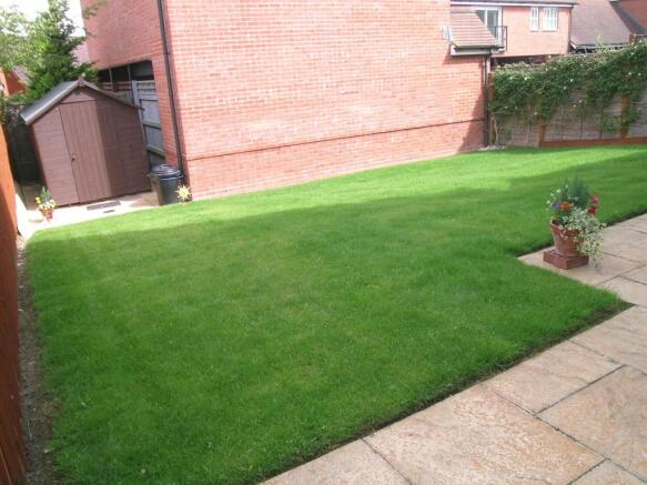 Photo 10