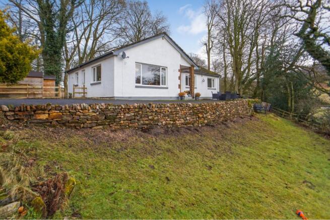 The Property