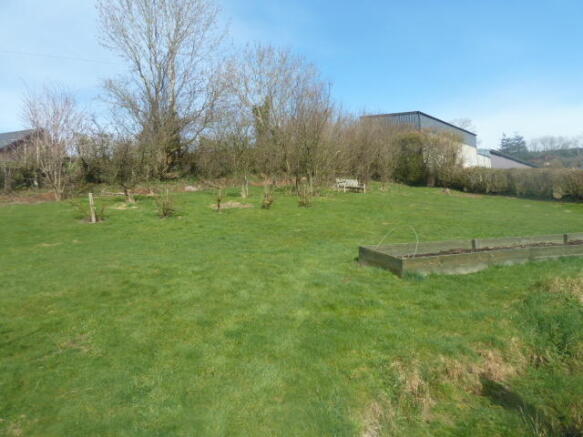 Photo 11
