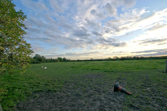 Adjacent paddock.