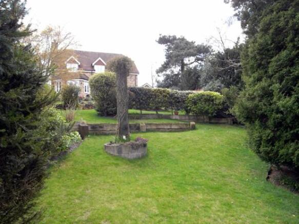 view from garden
