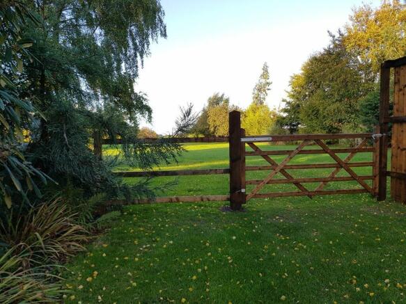 Garden at Back