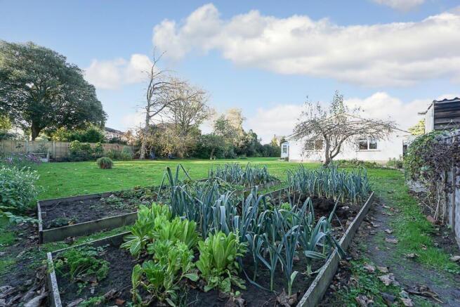 Grounds