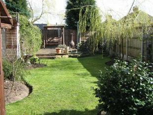 garden view 2