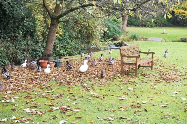 Grounds